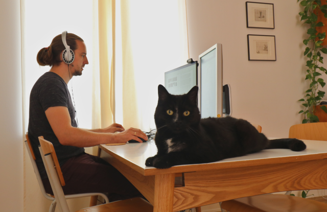 ML4Q Stories PhD students working at his dinning table with his black cat sitting on table.