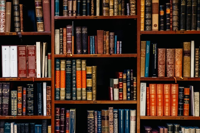 Highly Cited Researchers Shelves filled with books in an old book store from the city of Bilbao.